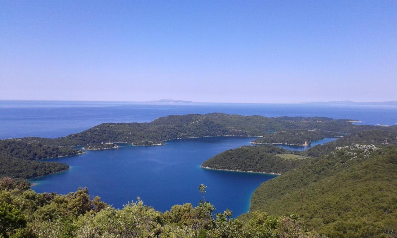 Sunny Side Of Mljet Apartamento Babino Polje Exterior foto